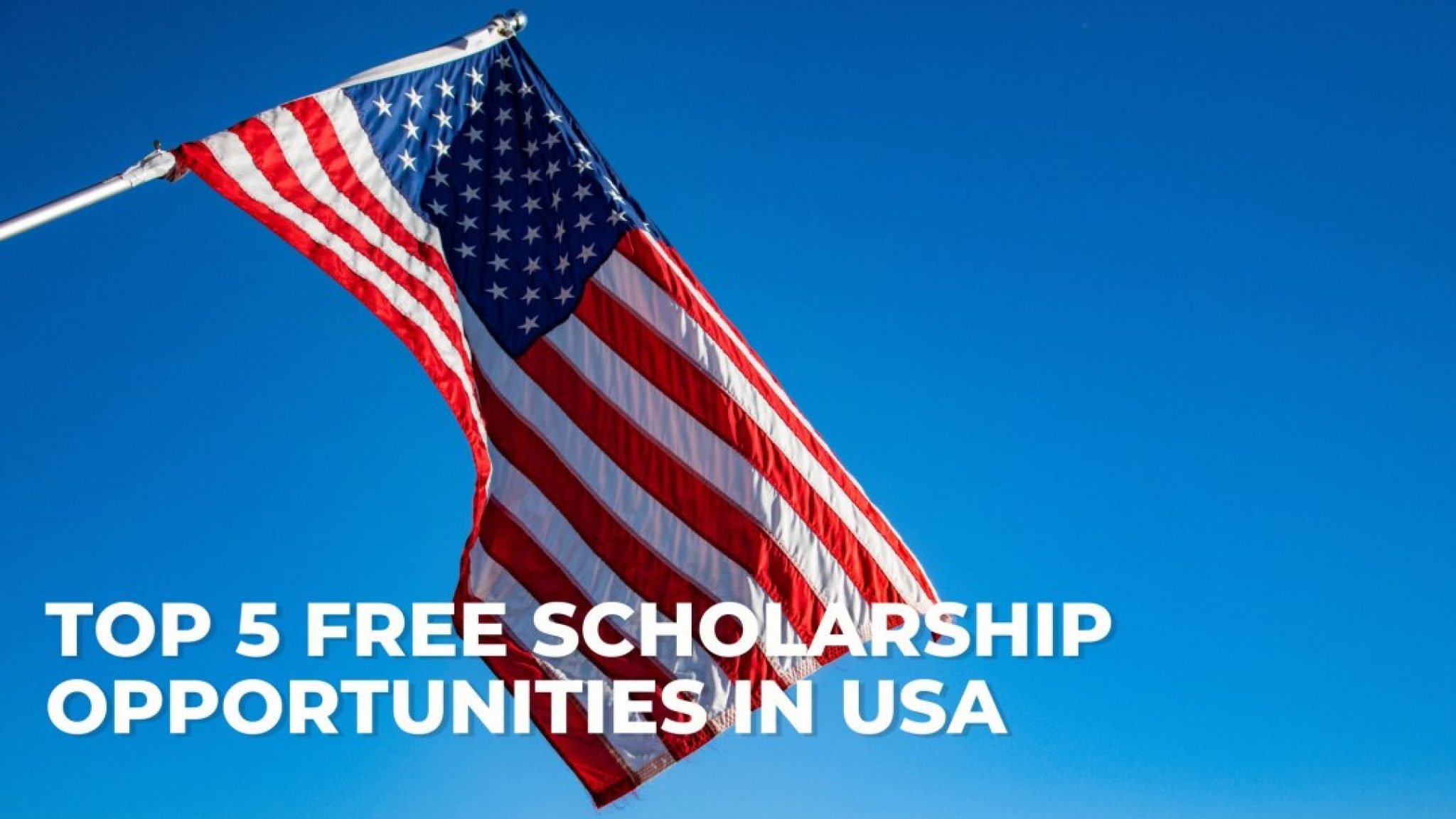 Top 5 Free Scholarship Opportunities In USA - Saya Takaful
